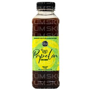 + 58 CCS Papelón con Limón Botella Pet 500 ml